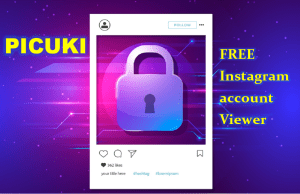 Picuki Instagram viewer and editor, Picuki Alternative